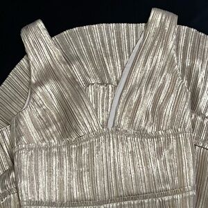 Simkhai Metallic Plisse Dress